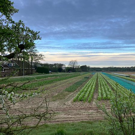 Lowlander Bnb Heemskerk Exterior foto