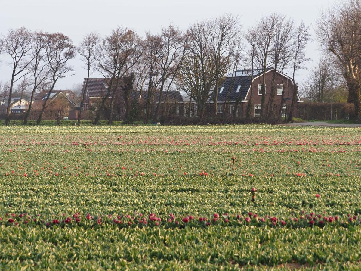 Lowlander Bnb Heemskerk Exterior foto